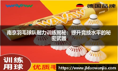 南京羽毛球队耐力训练揭秘：提升竞技水平的秘密武器